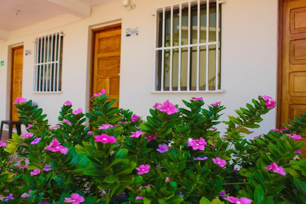 Hotel Dorado Plaza Punta Arena Playa de Punta Arena Ngoại thất bức ảnh